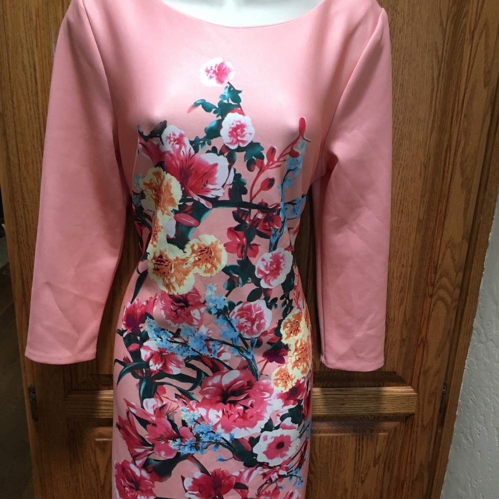 Beige by eci Misses Dress size 10